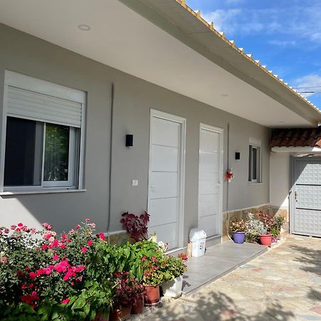 Guest House Luli Strumi Berat Exterior foto